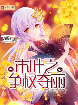 《木叶之争权夺丽》小说封面