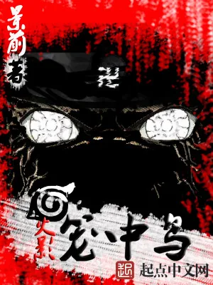 《火影笼中鸟》小说封面