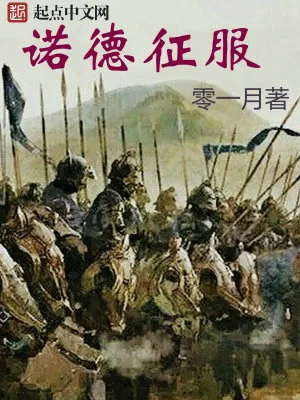 《诺德征服》小说封面