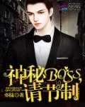 《神秘Boss,请节制》小说封面