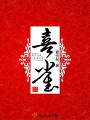 《喜雀》小说封面