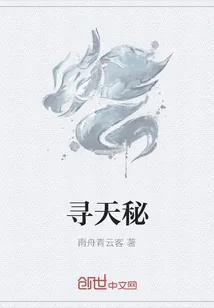 《寻天秘》小说封面