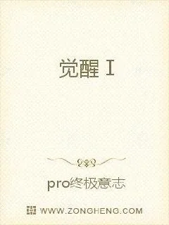 《夜之觉醒》小说封面