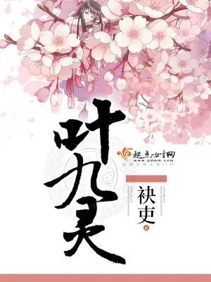 《叶九灵》小说封面