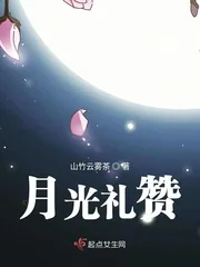 《月光礼赞》小说封面