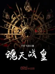 《魂天战皇》小说封面