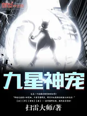 《九星神宠》小说封面