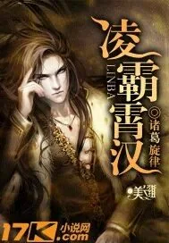 《凌霸霄汉》小说封面