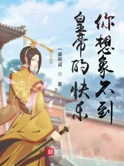 《皇帝的快乐，你想象不到》小说封面