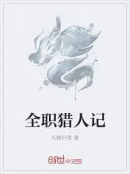 《全职猎人记》小说封面