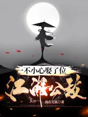 《一不小心娶了位江湖公敌》小说封面