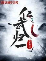 《仁武归一》小说封面