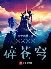 《我以星光碎苍穹》小说封面