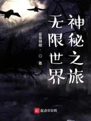 《无限世界神秘之旅》小说封面