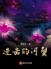 《进击的河蟹》小说封面
