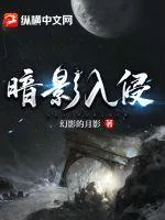 《暗影入侵》小说封面