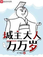 《城主大人万万岁》小说封面