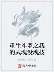 《重生斗罗之我的武魂没魂技》小说封面