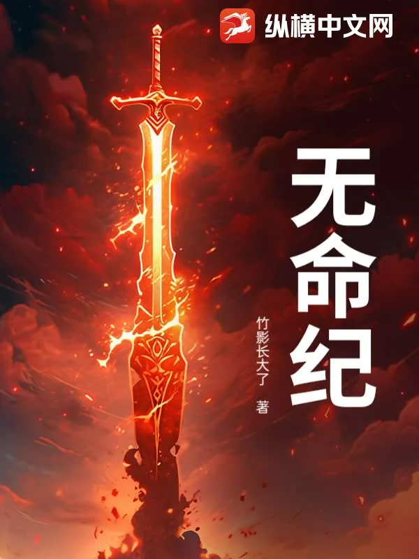 《无命纪》小说封面