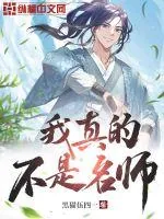 《我真的不是名师》小说封面