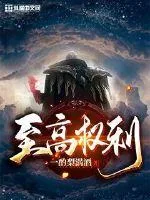 《至高权利》小说封面