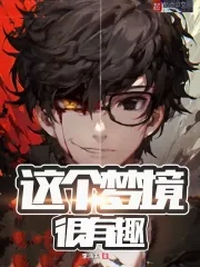 《这个梦境很有趣》小说封面