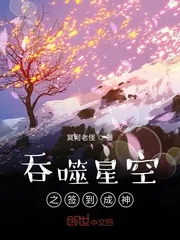 《吞噬星空之签到成神》小说封面