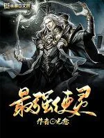 《最强使灵》小说封面