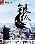《银狐》小说封面