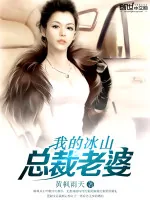 《我的冰山总裁老婆》小说封面