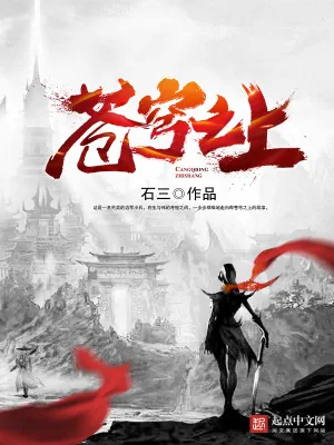 《苍穹之上》小说封面