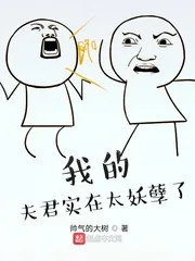 《我的夫君实在太妖孽了》小说封面