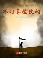 《本来我是不打算造反的》小说封面