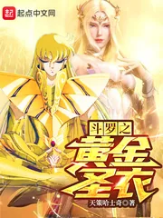 《斗罗之黄金圣衣》小说封面