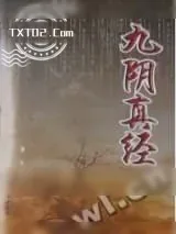 《九阴真经》小说封面