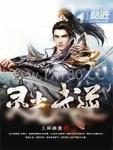 《灵光武逆》小说封面