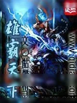 《雄霸天下》小说封面