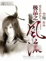 《极品之风流》小说封面