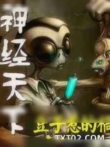 《神经天下》小说封面