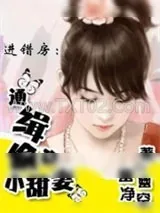 《进错房：通缉偷心小甜妻》小说封面