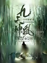 《九天神凰》小说封面