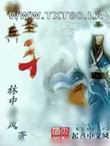 《神兵圣手》小说封面