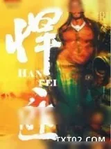 《蓝火之炬》小说封面