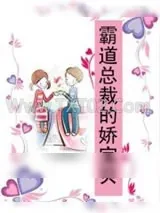 《霸道总裁的娇宝贝》小说封面