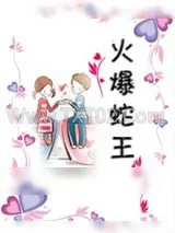 《火爆蛇王》小说封面