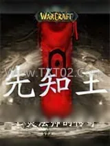 《先知王》小说封面