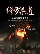 《修罗杀道》小说封面