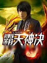 《霸天神决》小说封面