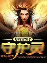 《每周觉醒个守护灵》小说封面