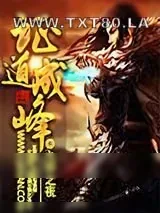 《证道成峰》小说封面
